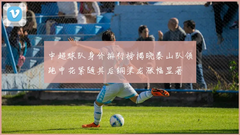 中超球队身价排行榜揭晓泰山队领跑申花紧随其后铜梁龙涨幅显著