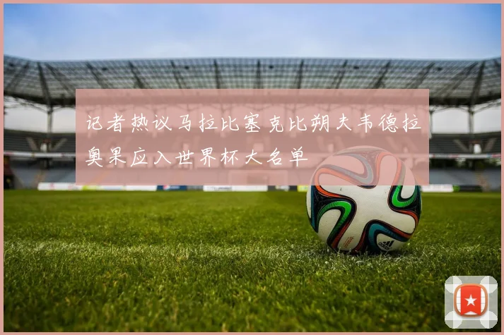 记者热议马拉比塞克比朔夫韦德拉奥果应入世界杯大名单